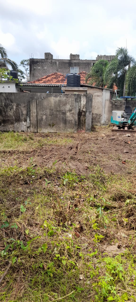 Site Cleaning — photo 3